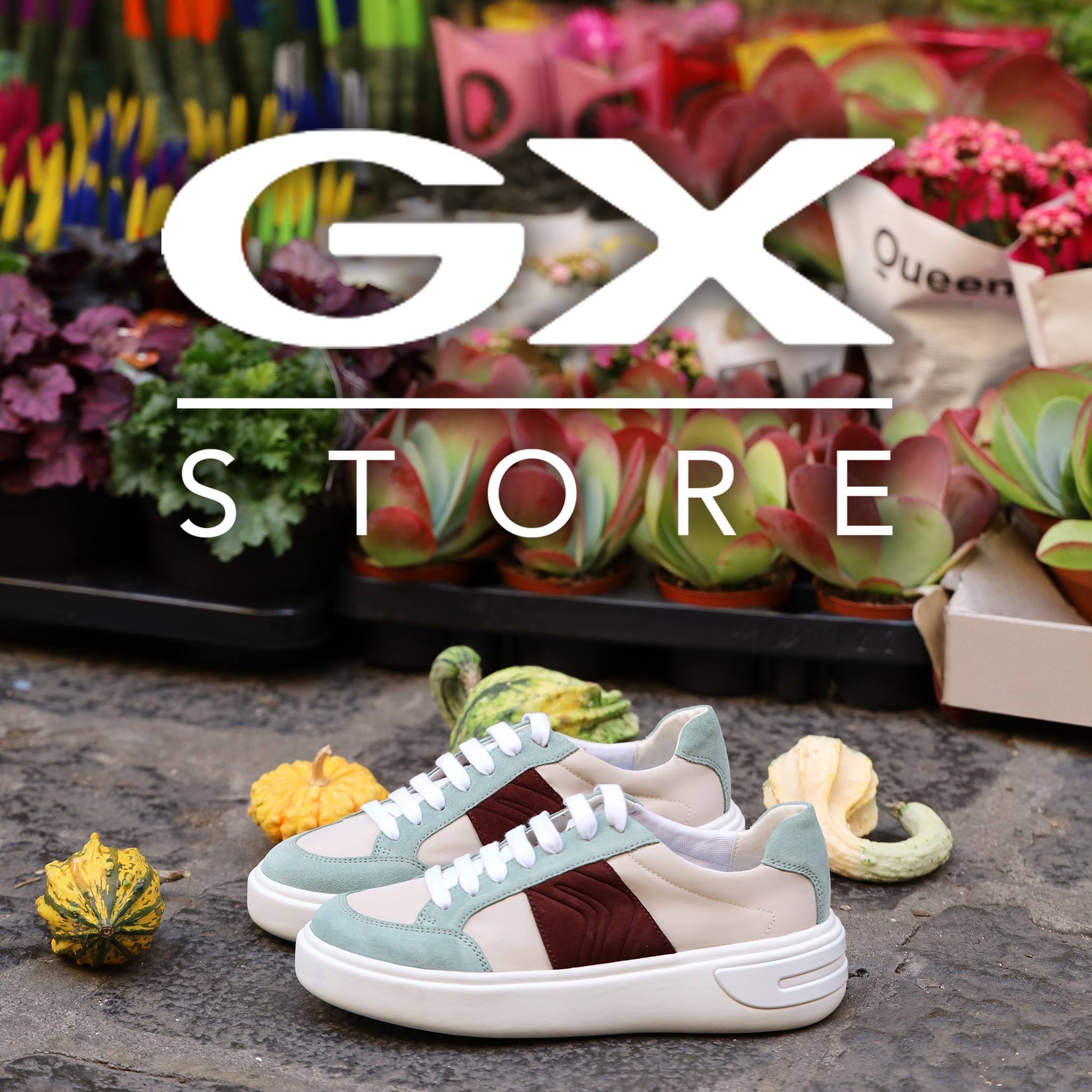 Geox store